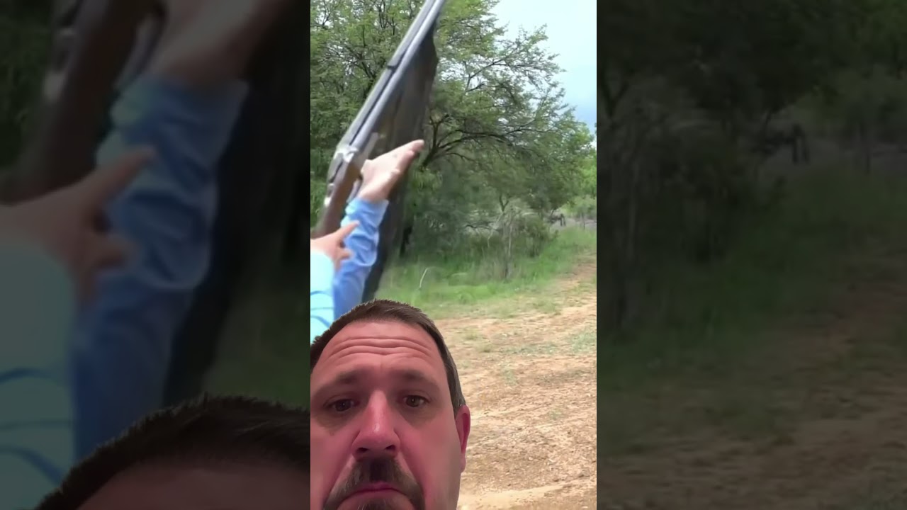 Elephant Gun ￼ FYI ￼ don&rsquo;t pull both triggers #elephantgun #coolgun #don&rsquo;tpullbothtriggers