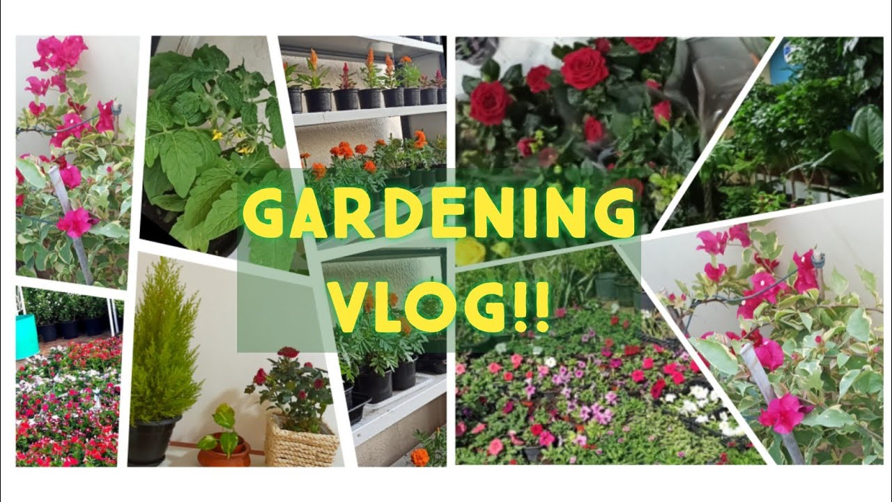 SMALL GARDEN TOUR || Our Gardening Vlog