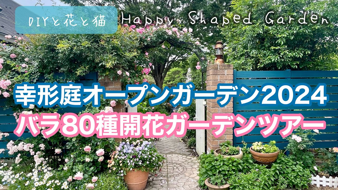 オープンガーデン2024•バラ80種が咲くお庭『幸形庭』をガーデンツアー•ローズガーデンお散歩【園芸・ガーデニング】【薔薇・ロザリアン】【オープンガーデン・オープンデー】【田舎暮らし・田舎リゾート】
