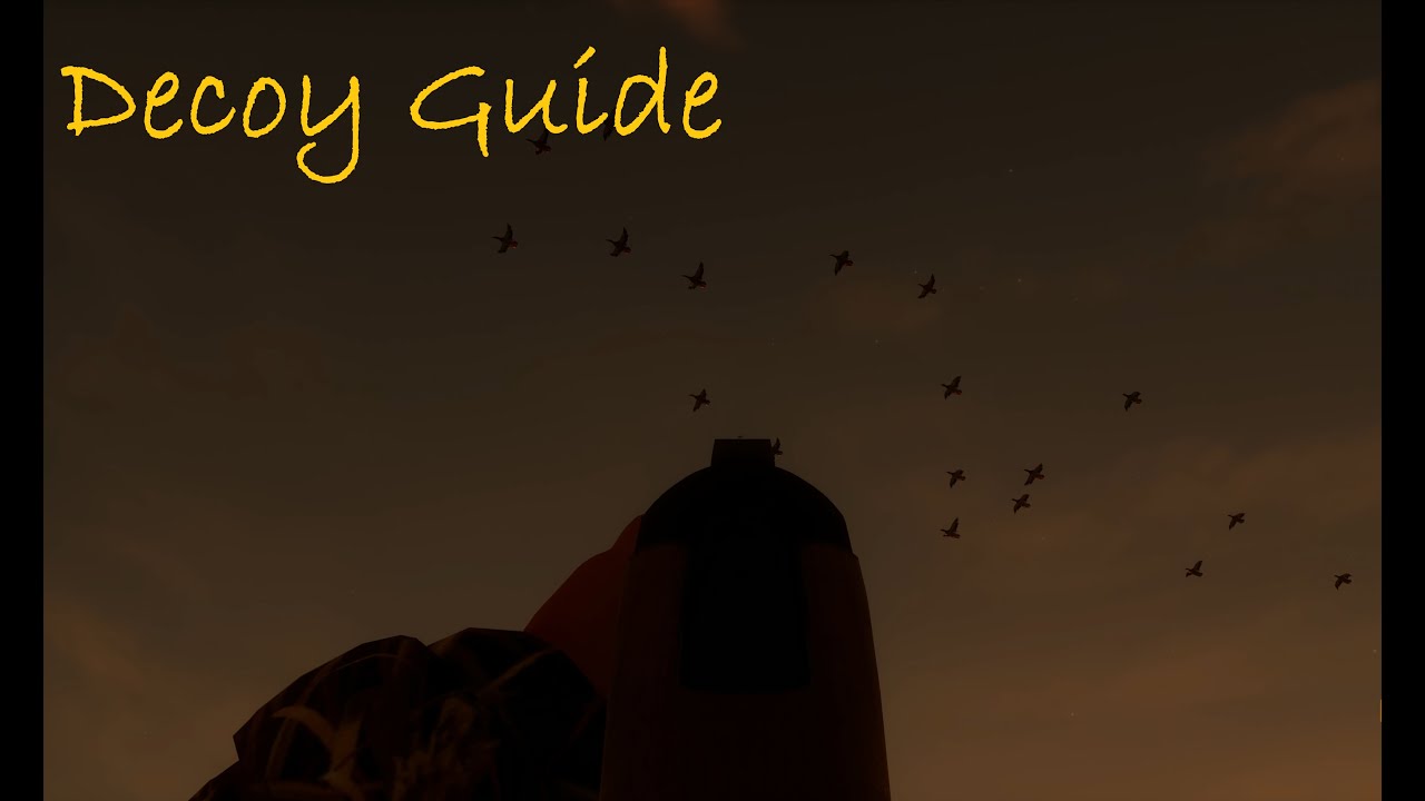 Bult decoy how to: Real time 8 ducks only over water.