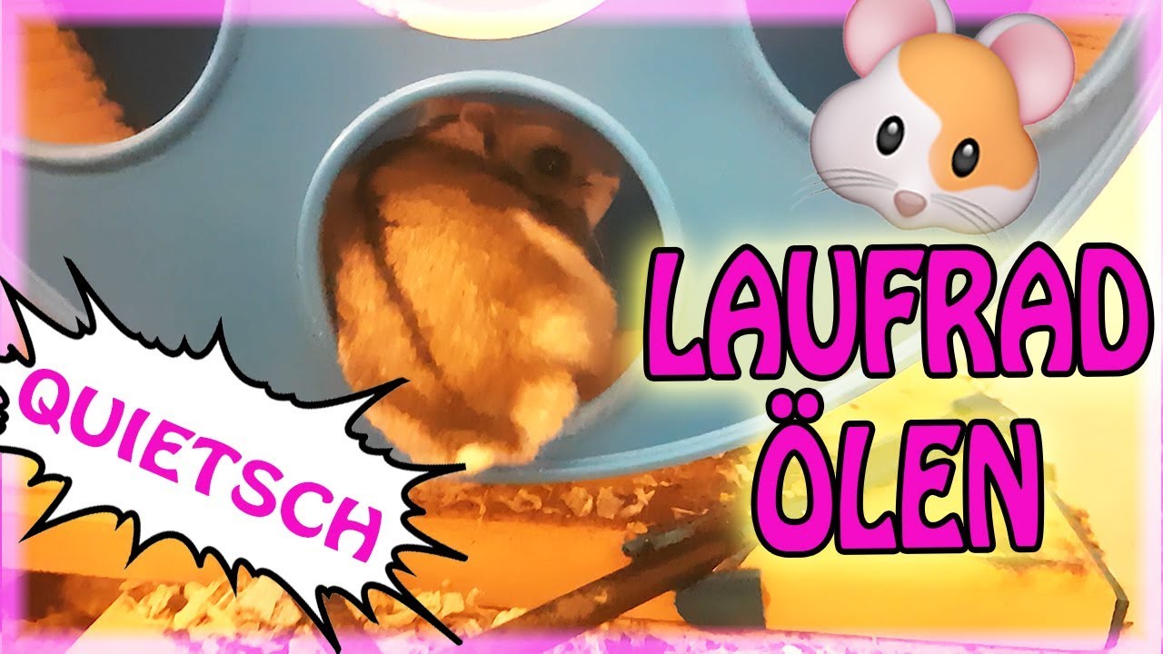 François live ❤ Das quietschende Laufrad