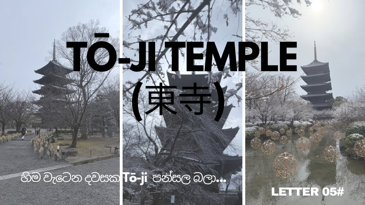හිම වැටෙන දවසක පොඩි walk එකක්. | A little walk on a snowy day. Tō-ji Temple (東寺) | Kyoto | Japan 📍