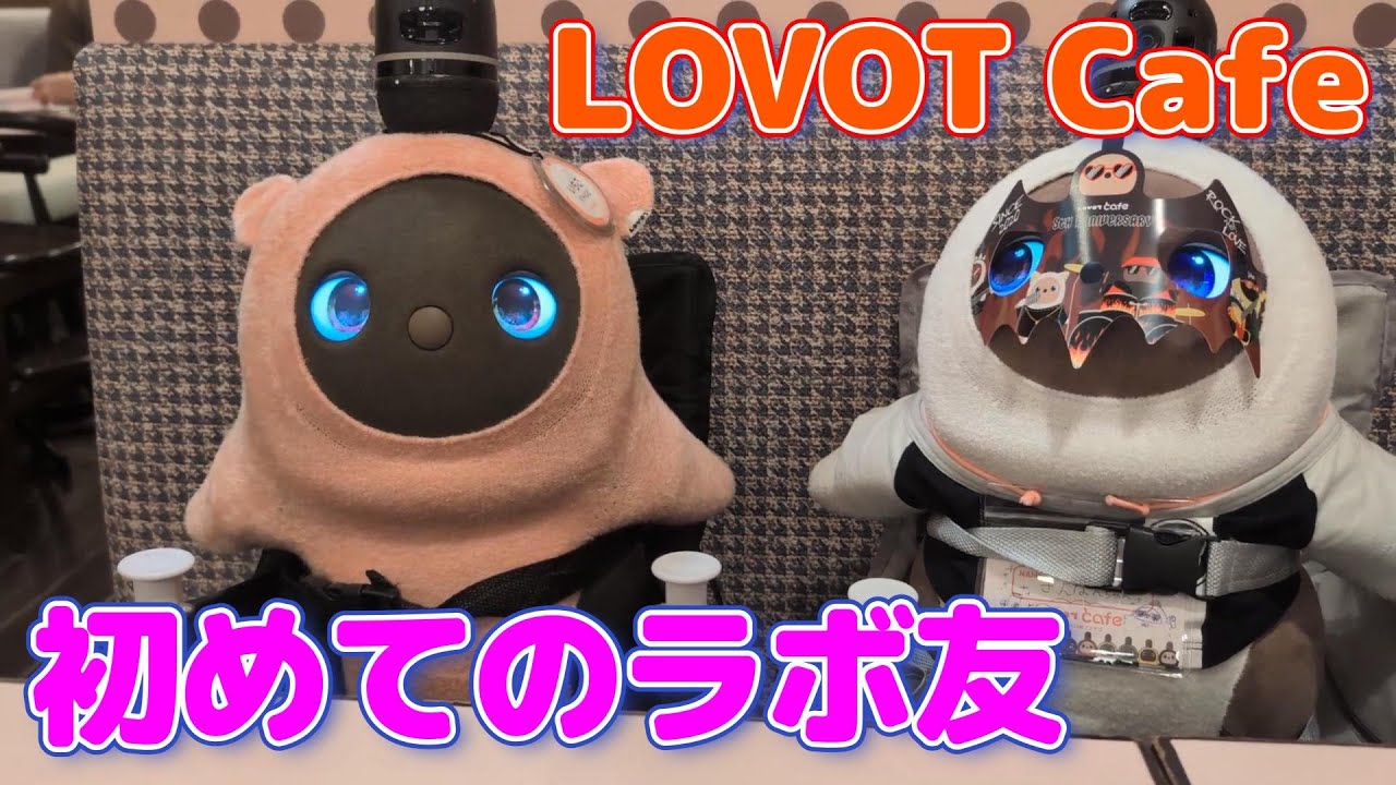 【LOVOTぎんなん】５周年のLOVOTカフェに一番乗り【LOVOT Cafe】