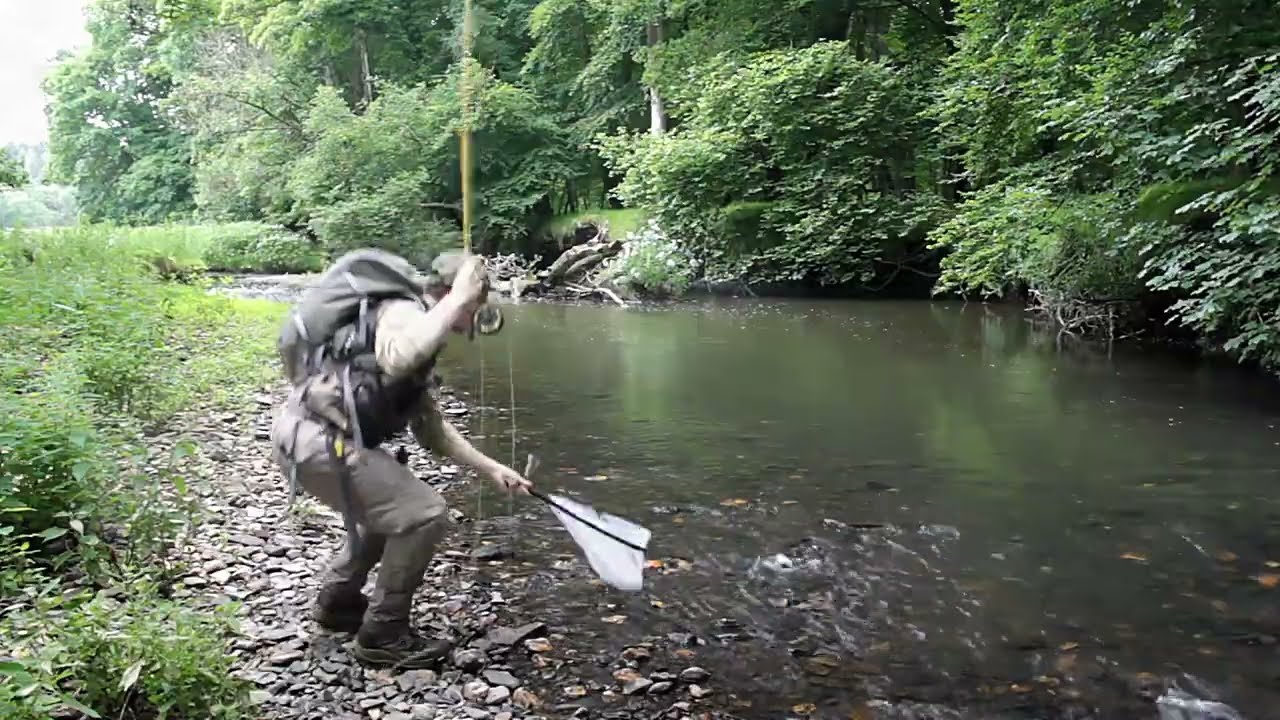 Fly fishing for Trout and Grayling on the River Ottery, Cornwall