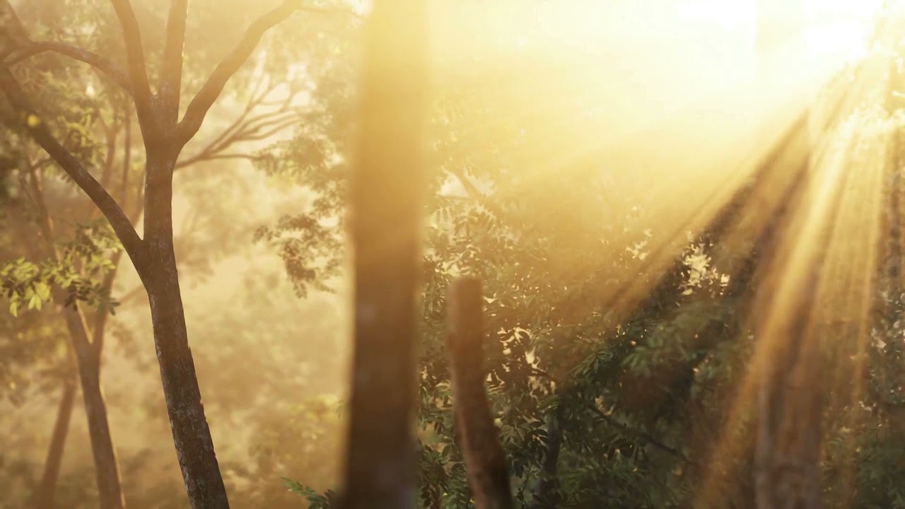 prime morning Relaxing Music Morning Sunsets