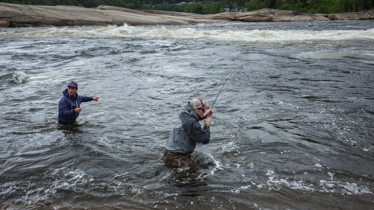 First time salmon fishing in Norway 🇳🇴
