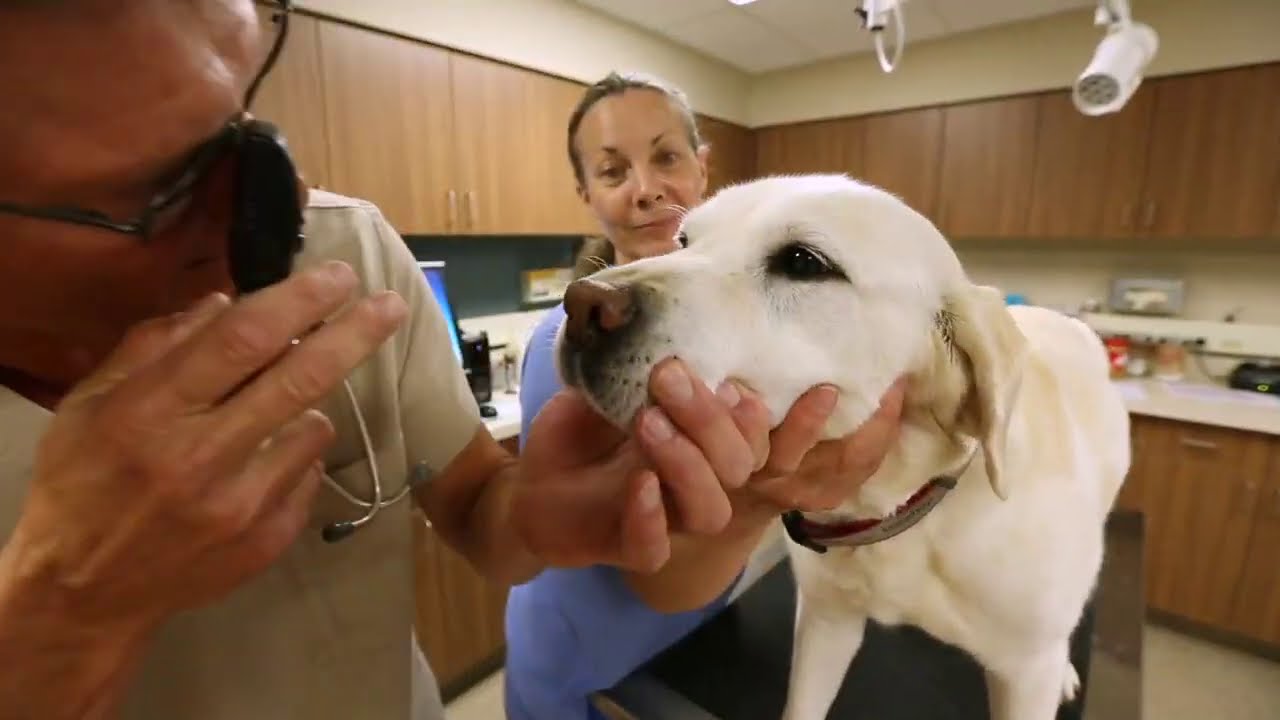 Leader Dog Campus Tour July 2020