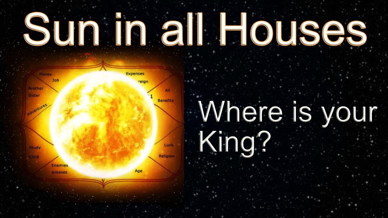 Sun in all houses | Anmol Kapoor | AK Astrology