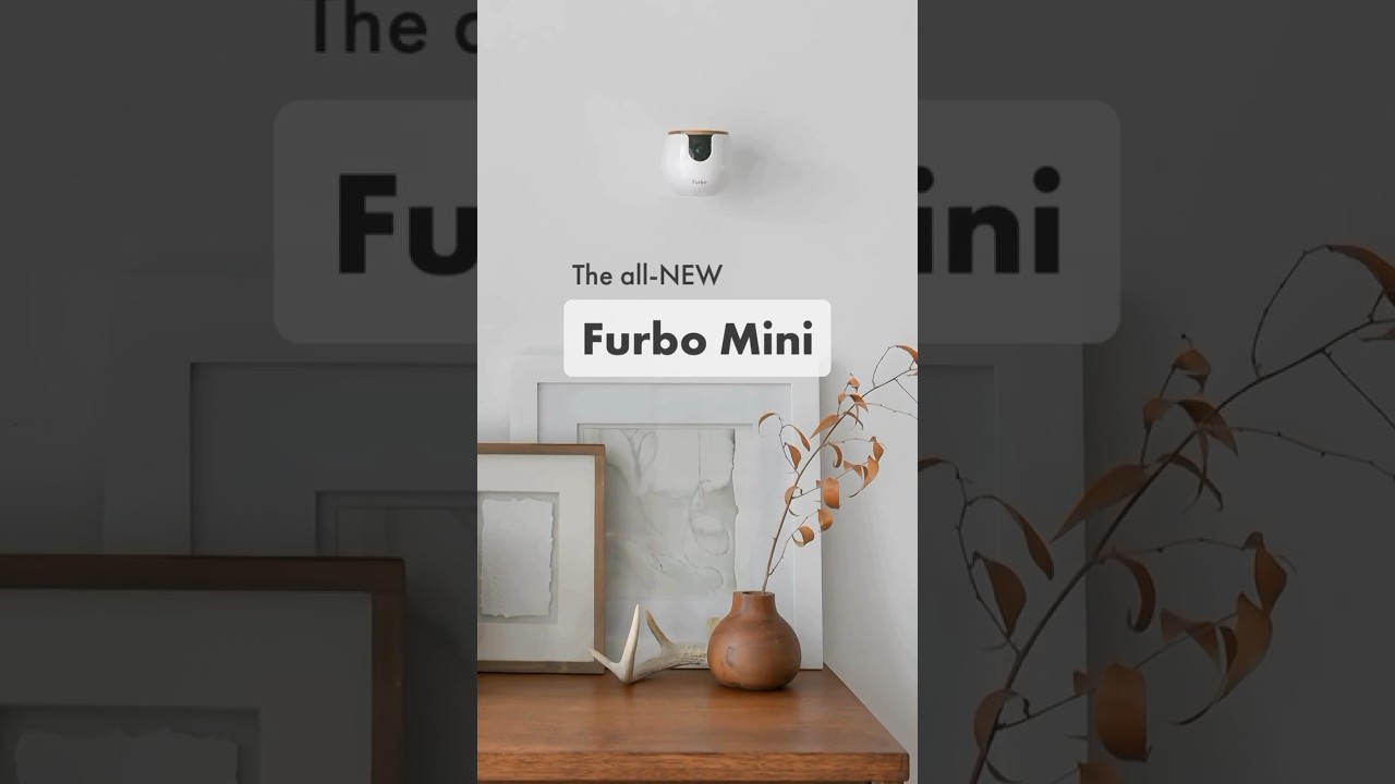 Your furry friends are always in sight with Furbo Mini&rsquo;s auto tracking! Peek and chat from anywhere!