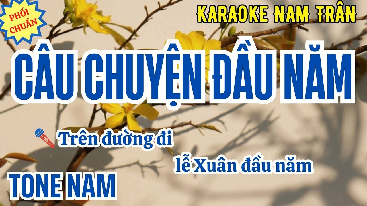 Karaoke Câu Chuyện Đầu Năm Tone Nam | Nam Trân