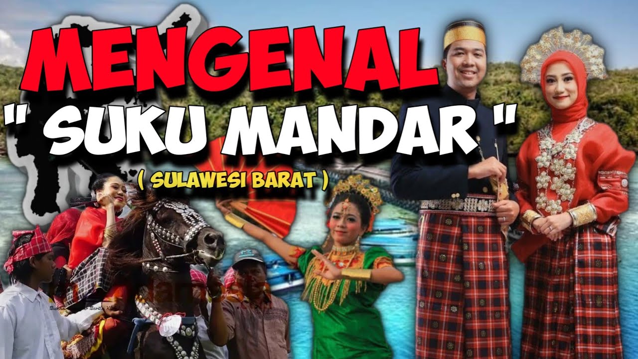 7 Identitas Suku Mandar yang Wajib Kamu Ketahui🤔 | Keunikan Budaya Indonesia 🇮🇩🔥