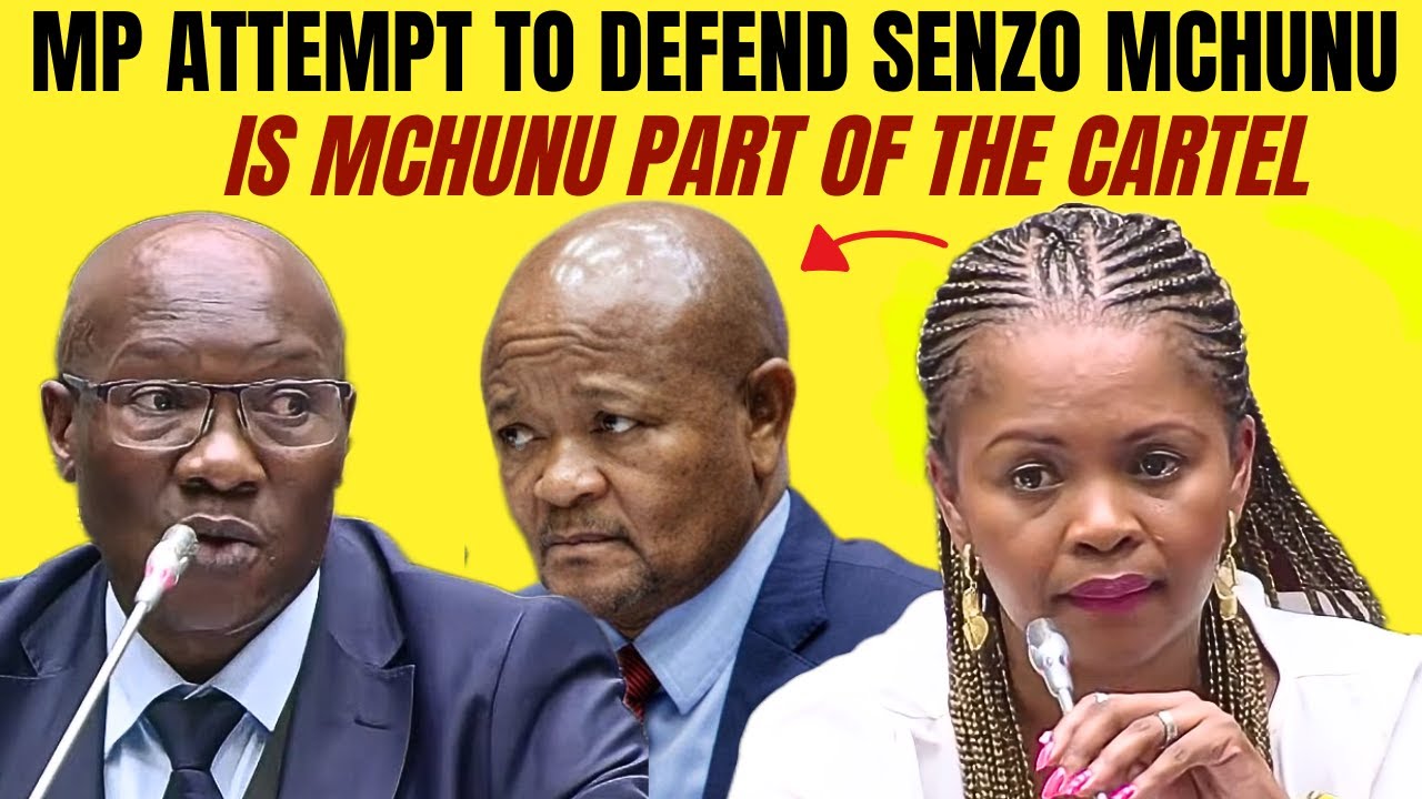 ANC Mp member Tries to Defend Senzo Mchunu adhoc comittee