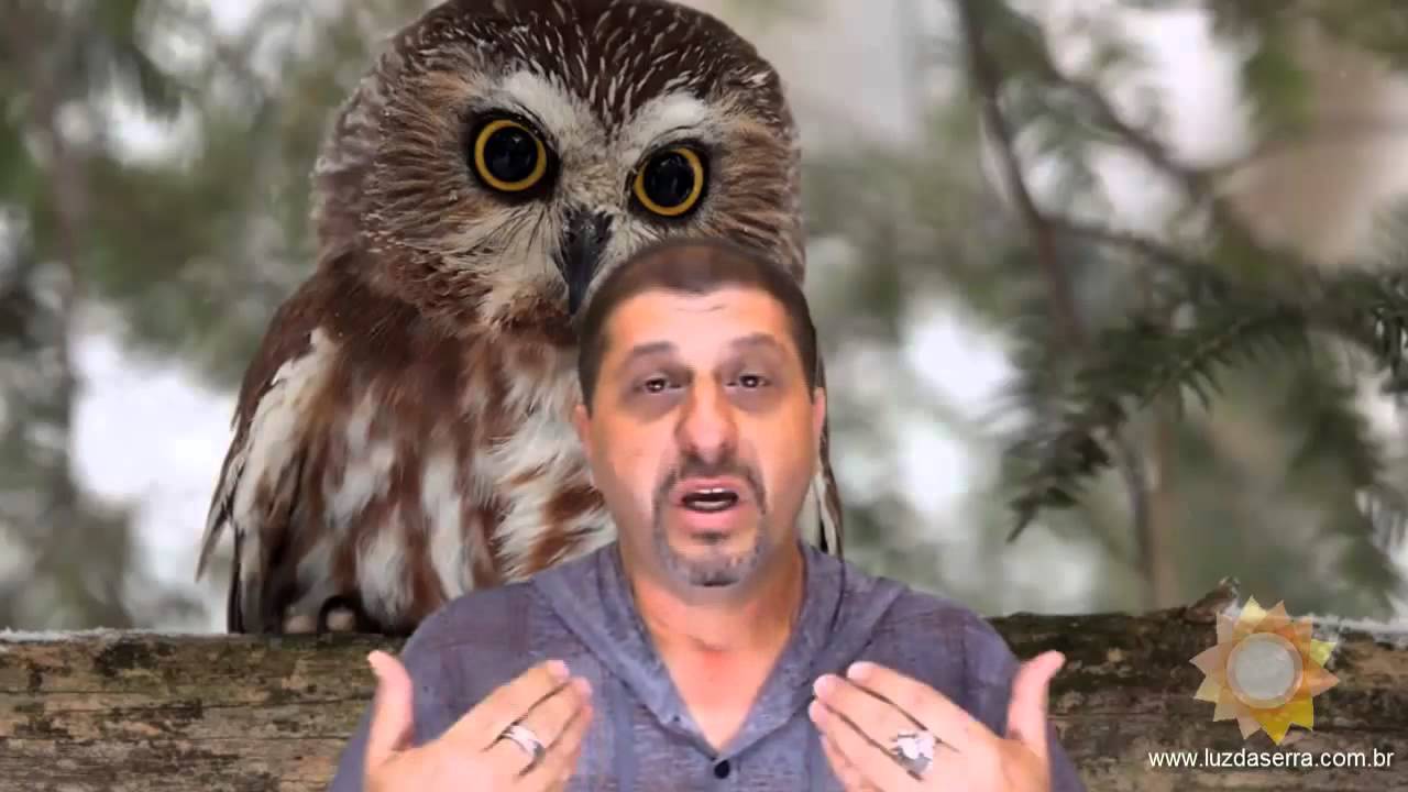 Xamanismo   Vitor Hugo Fran&ccedil;a