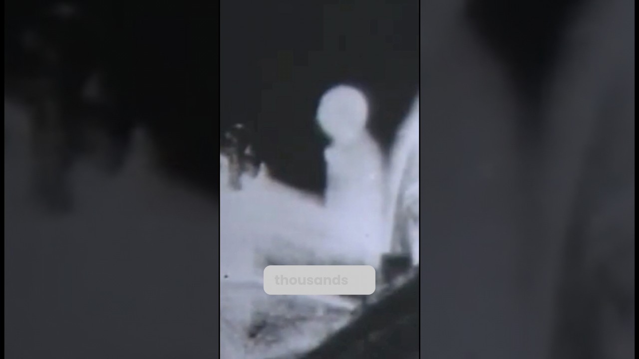 the virgin mary's apparition in zeitun 1968