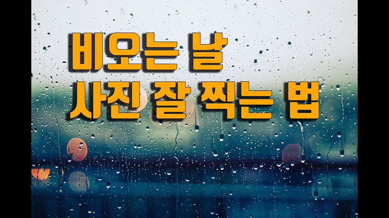 비오는날 사진 잘 찍는 방법 / 사진강좌 / 감성사진 촬영법 / 비 사진 찍는방법 /