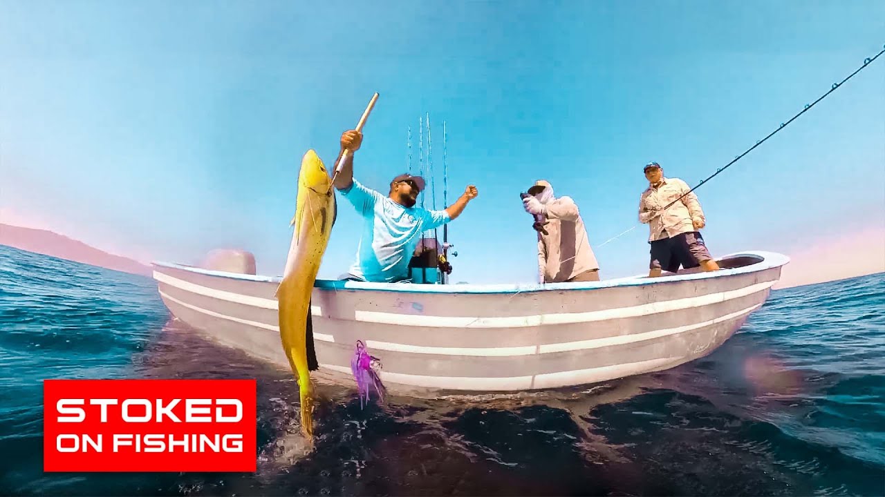 Cedros Island Goes Off