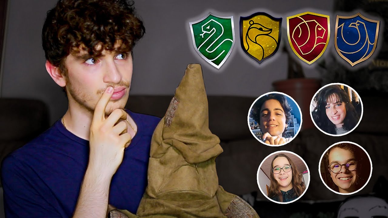 Je RÉPARTIS mes ABONNÉS dans les MAISONS de POUDLARD !