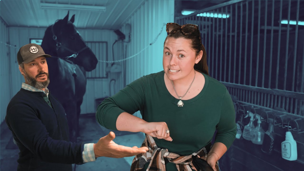 Big Horses and Little Horses | Breeding and Vet Checkup