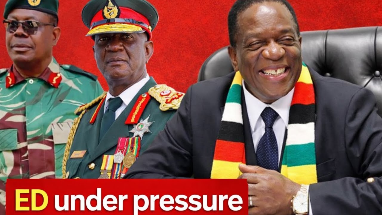 Zvigananda in Panic Mode? Temba Mliswa Unleashed to Attack Generals