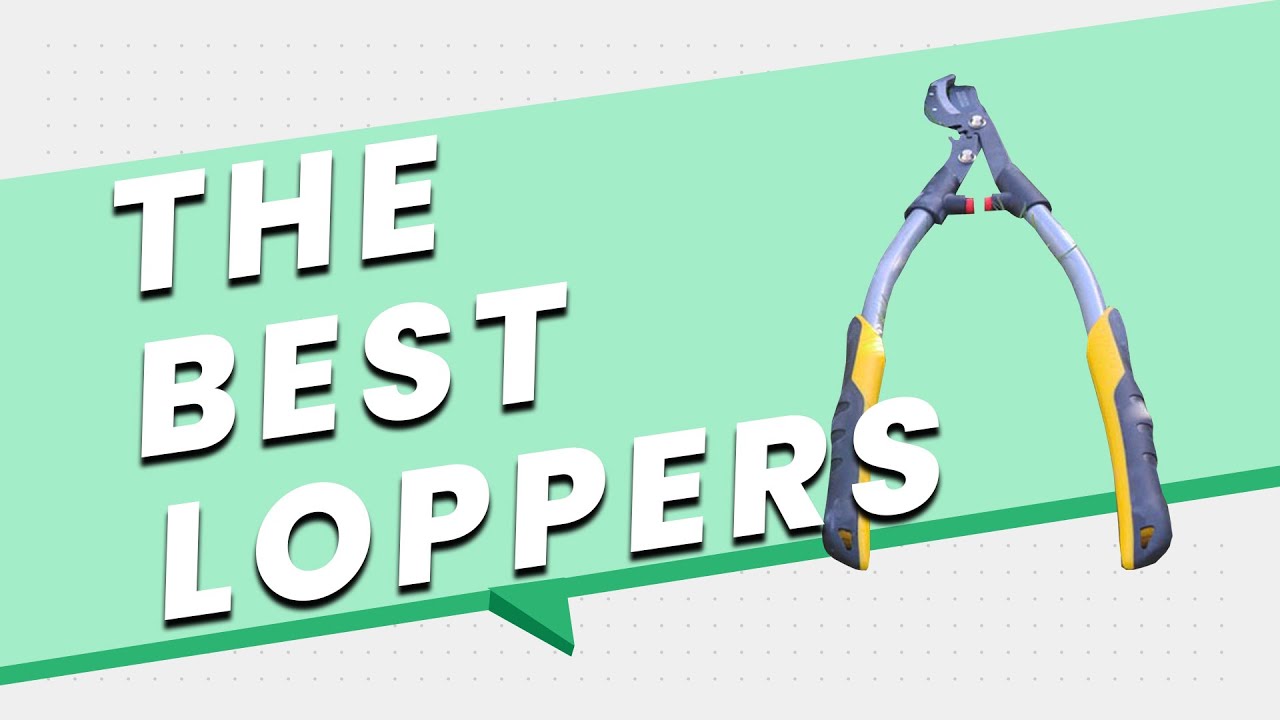 I Bought and Tested 3 of The Best Garden Loppers