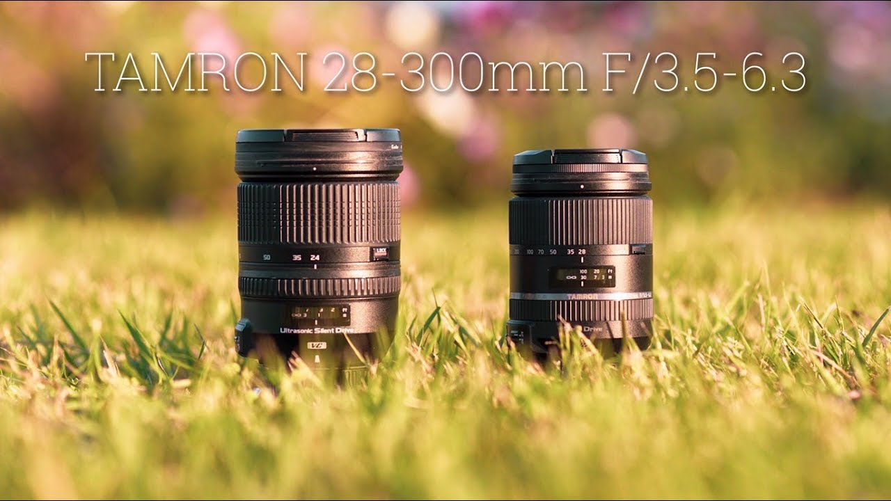 高倍率と大三元を比較してみた&使用感レビュー【Tamron 28-300mm f/3.5-6.3 Di VC PZD】