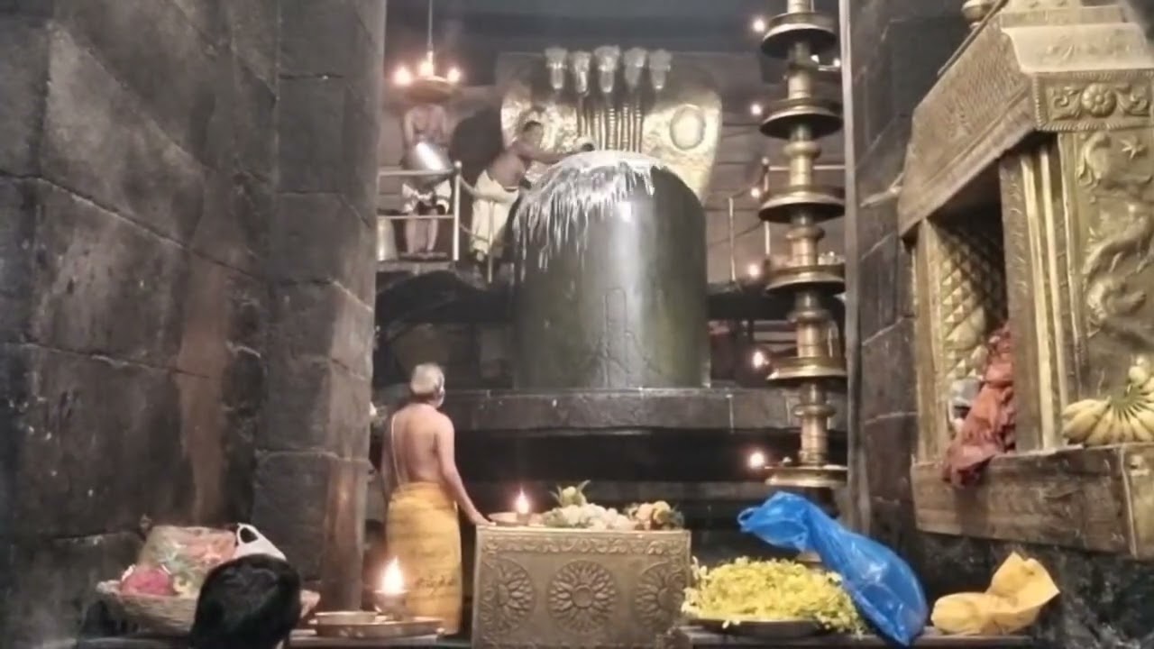 Thanjavur periya Kovil sivaperuman abisegam 🙏🏻🙏🏻#omnamahshivaya potri 🙏🏻🙏🏻🙏🏻