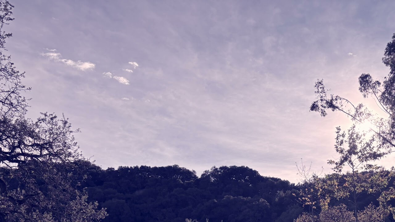 Jolly ambient wavy beat🌊🦋🧚‍♀️