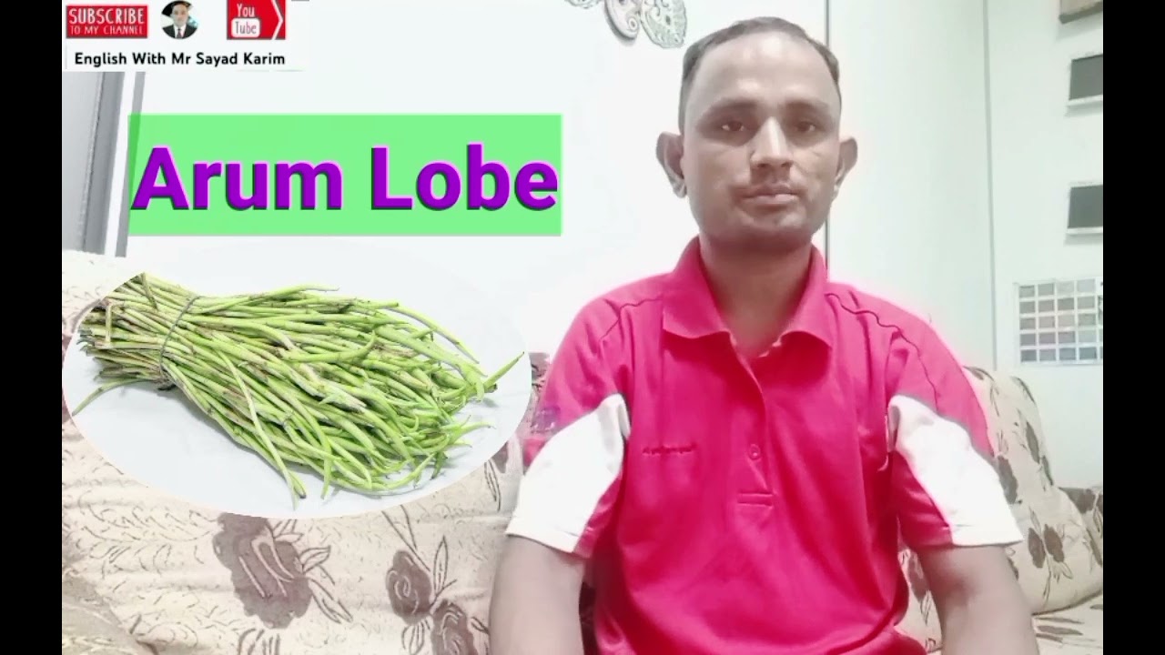 Speaking English in grammar How can We know so many vegetable names