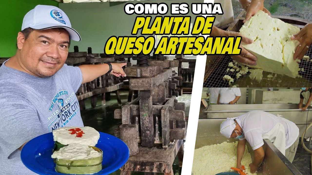 Como se hace el QUESO ARTESANAL mantequilla 🧀🧀 procesos lácteos en El Salvador