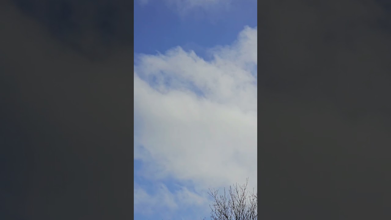 NOTHING IS FORGOTTEN 