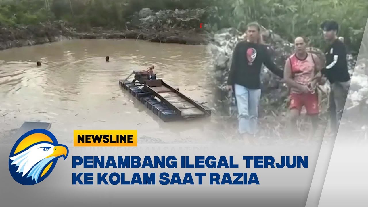 Detik-Detik Polisi Gerebek Tambang Emas Ilegal di Kuansing, Pelaku Terjun ke Kubangan!