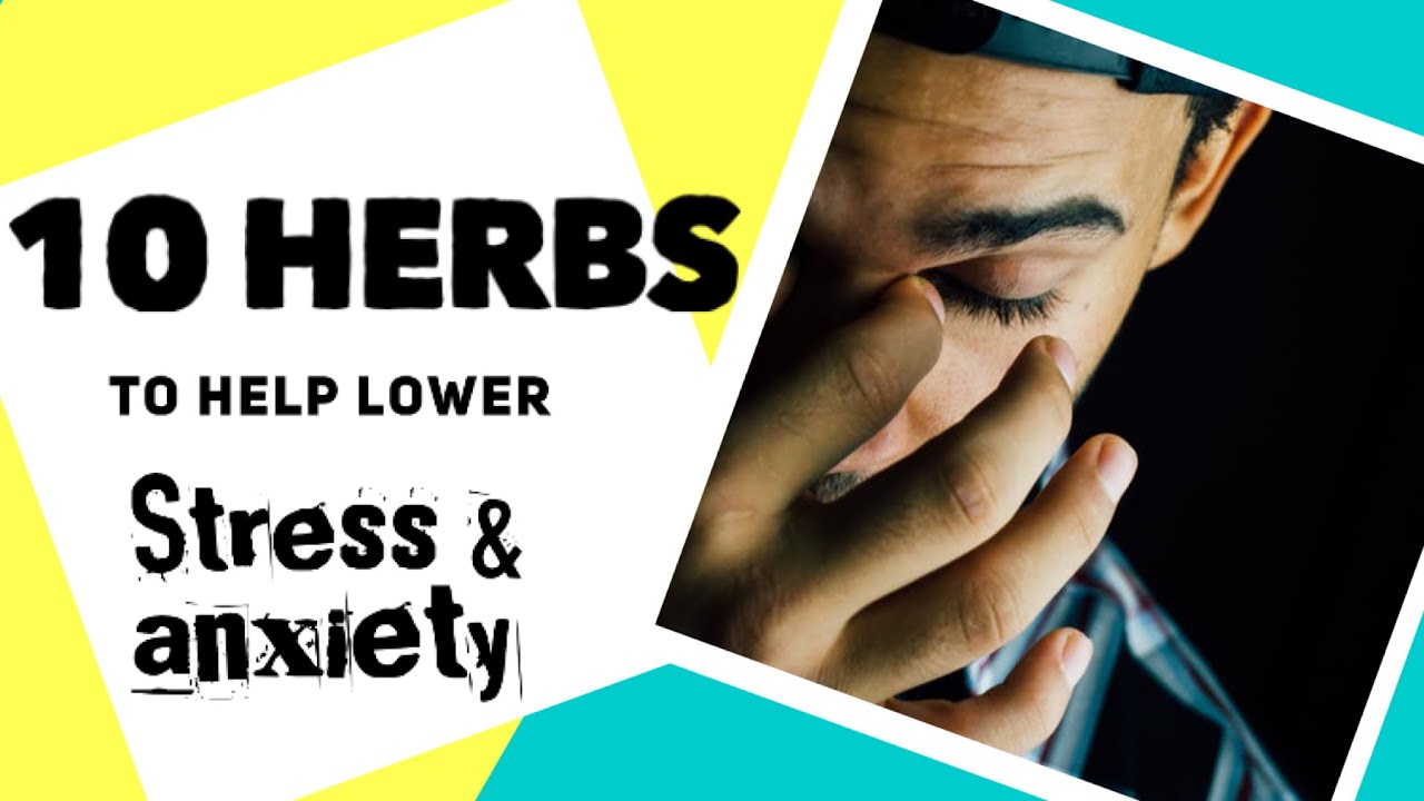 10 Herbs to help lower your STRESS and ANXIETY levels