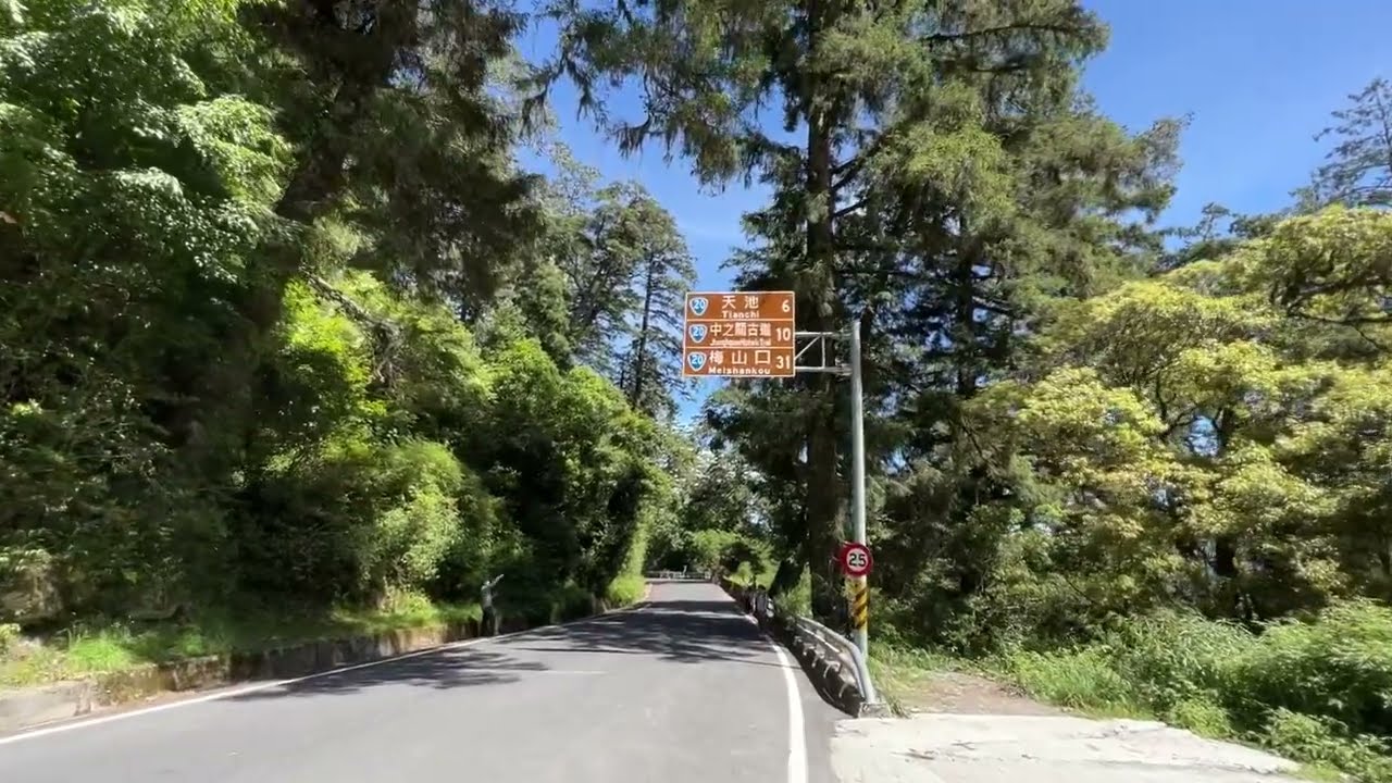 （walkin）走入南橫 看看百年神木