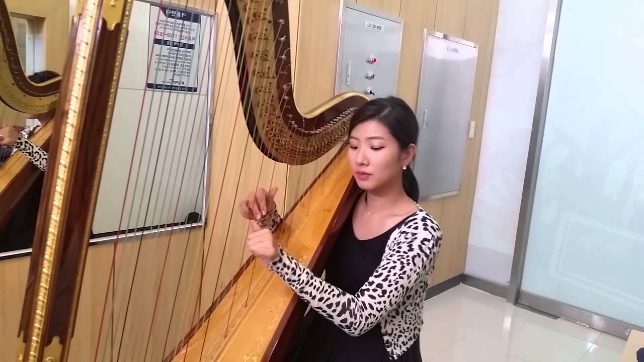 My heart will go on -harp solo 하프 타이타닉