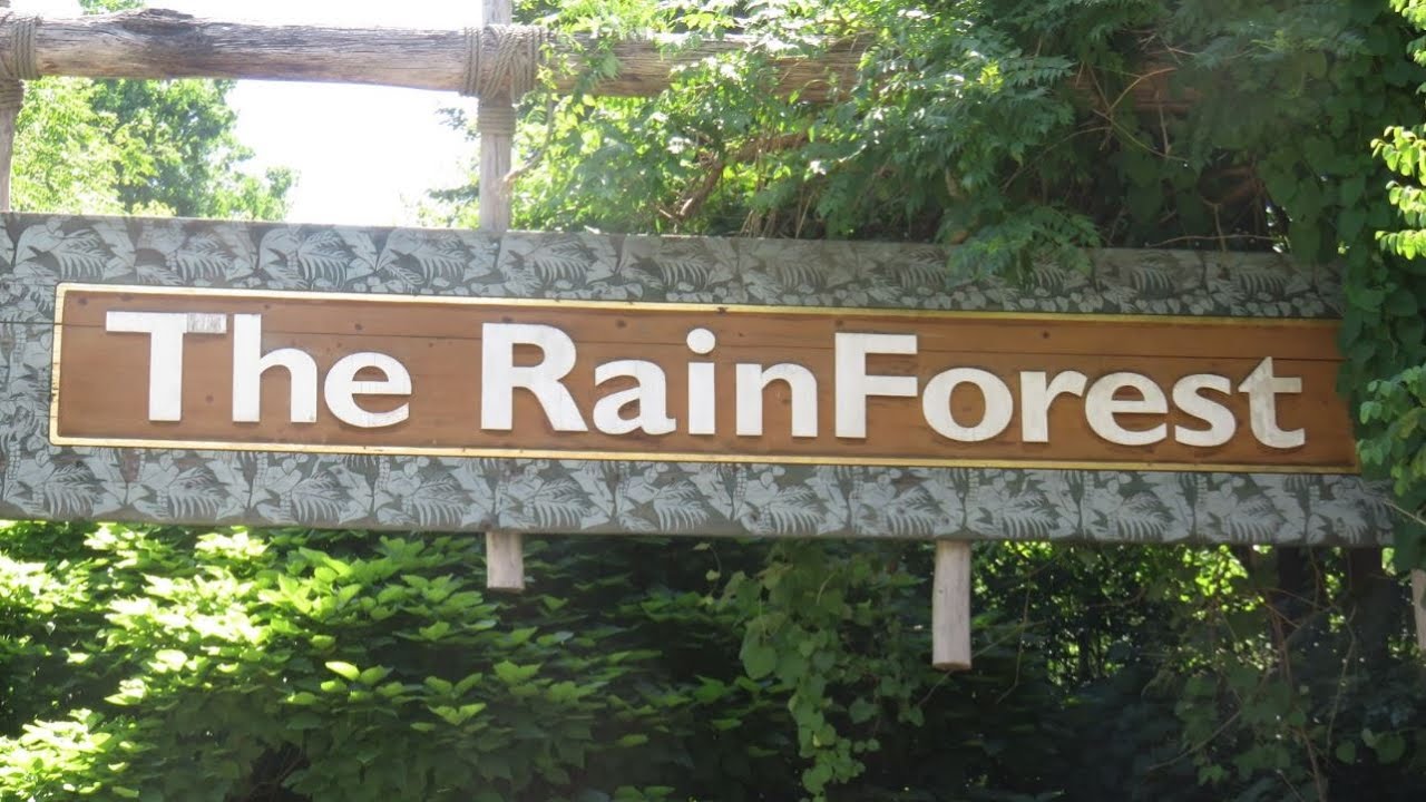 Cleveland Metropark Zoo's Rain Forest (7-14-16)