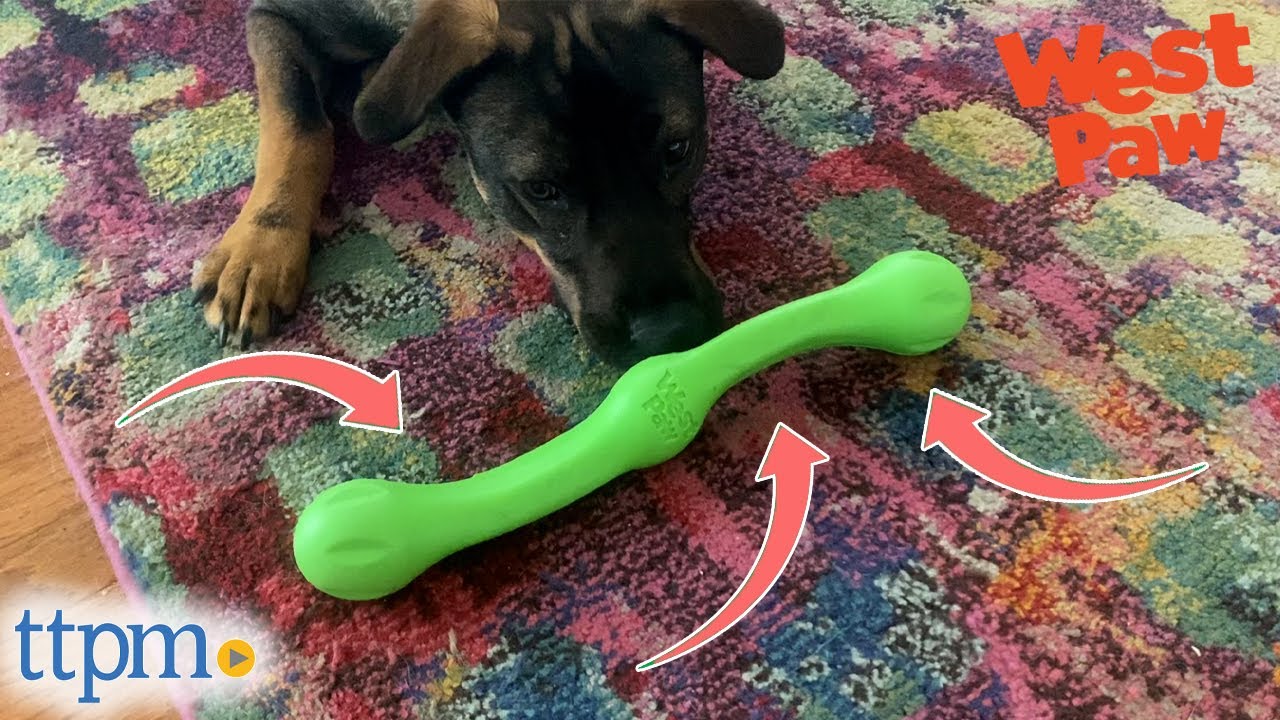 West Paw Durable Dog Toys Review | For Dogs Who Love Chewing and Rough Play | (We Tested Them All)