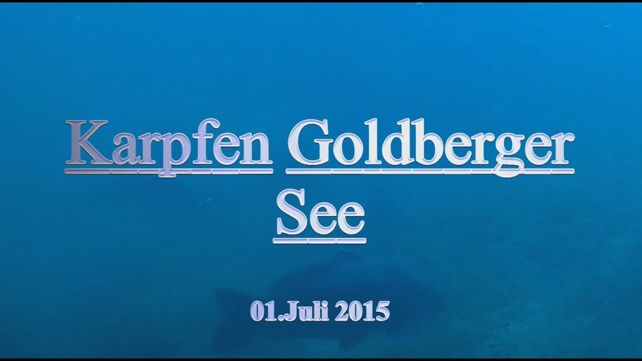 Karpfen Goldberger See