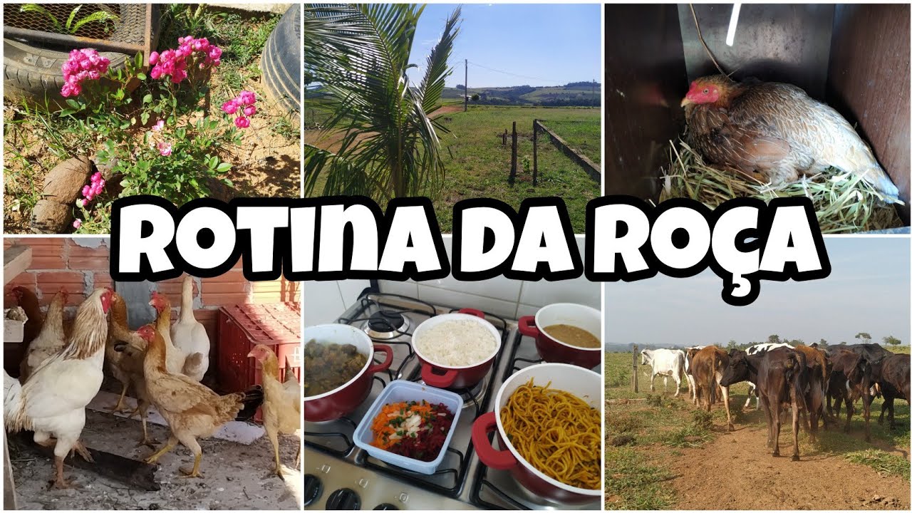 UM DIA COMIGO NA ROÇA || dia a dia no sítio