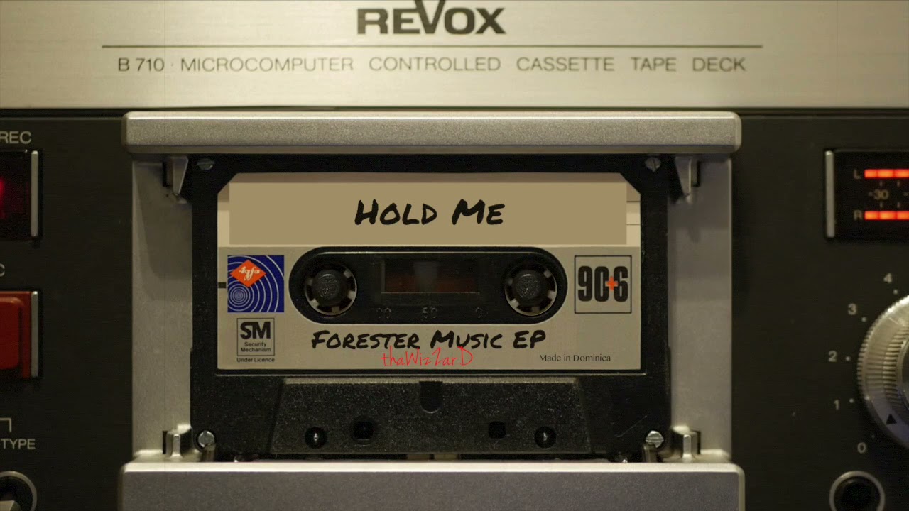 thaWizZarD - Hold Me