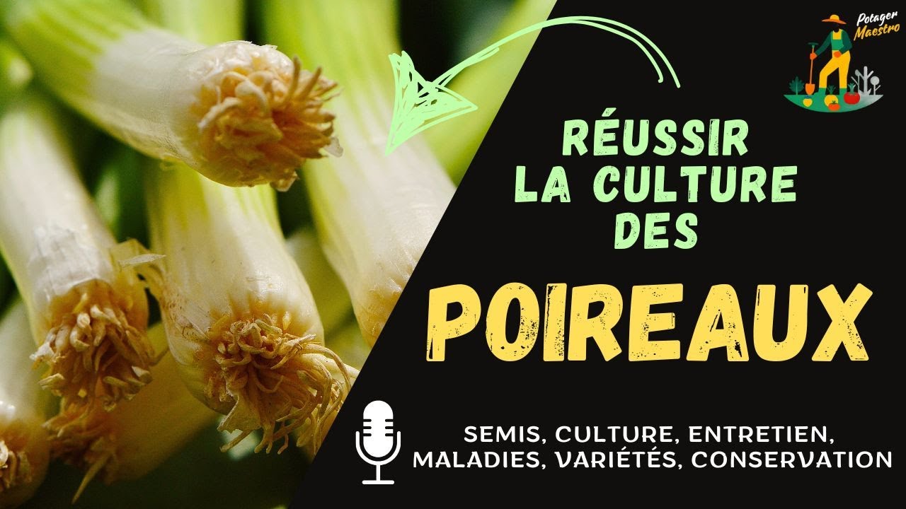 Réussir la culture des poireaux dans votre potager