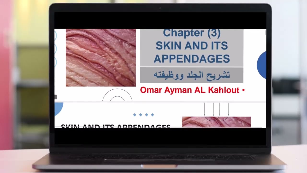chapter 3 skin and its appendages