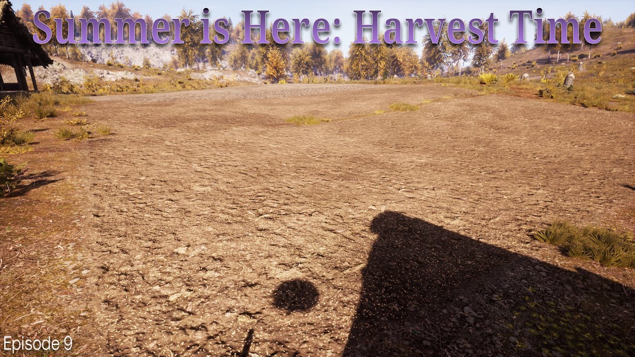 ☀️🌾Summer is Here: Harvest Time | Let's Play Medieval Dynasty S2 Ep 9