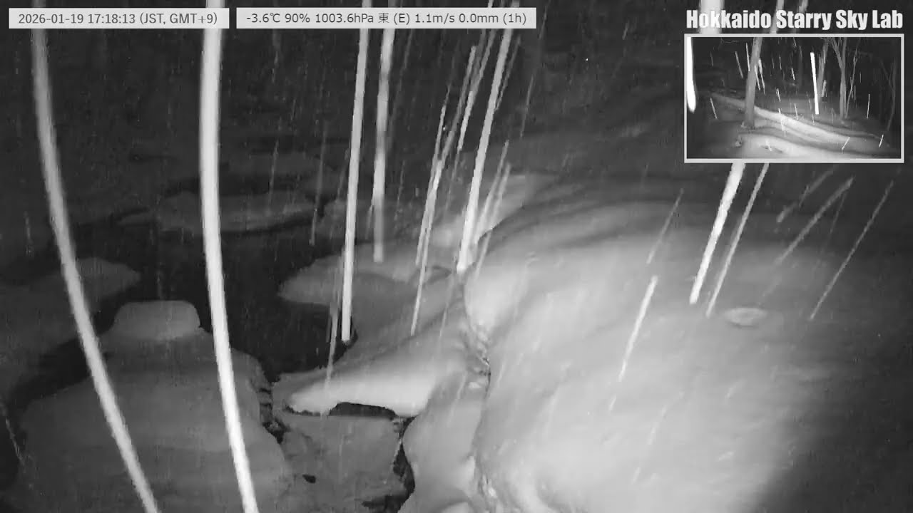 【2026/01/19-2】🐦北海道の沢と野鳥の声｜癒しの自然音ライブ｜Stream & Birds Sound
