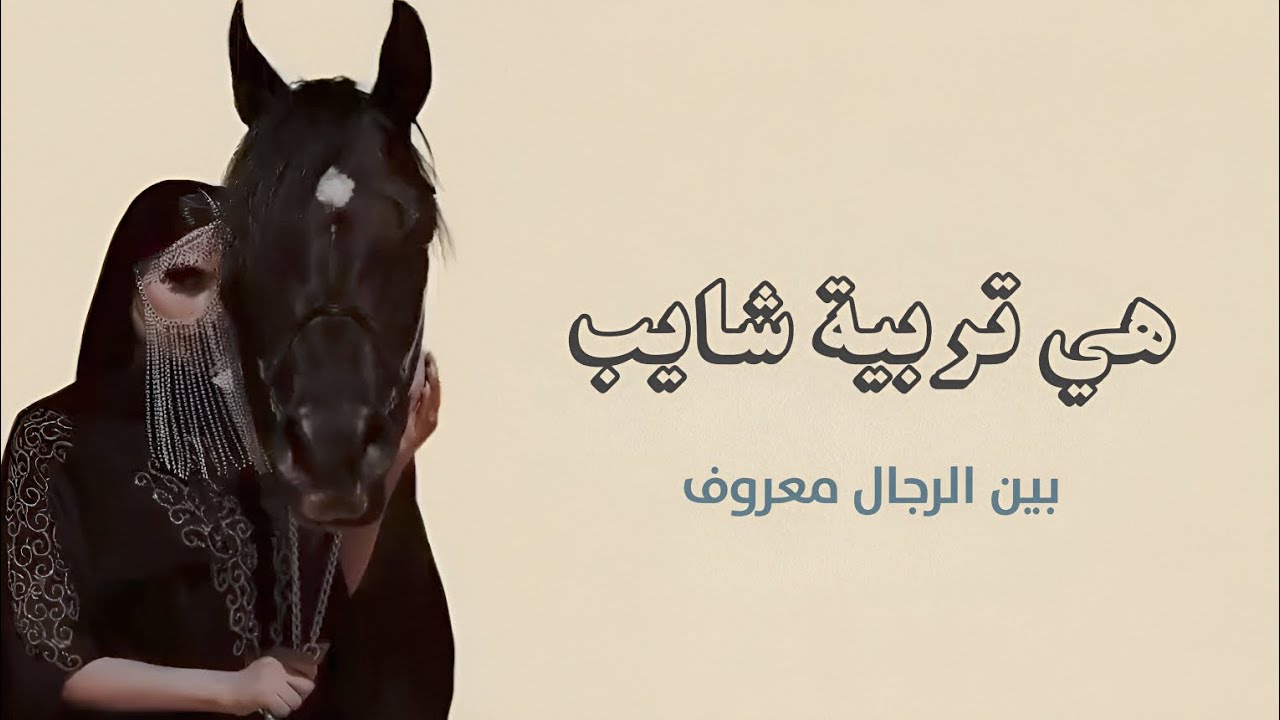 هي تربية شايب بين الرجال معروف _ شيلات مدح بنت _ اداء متعب الخيل _ حماسية بدون حقوق 