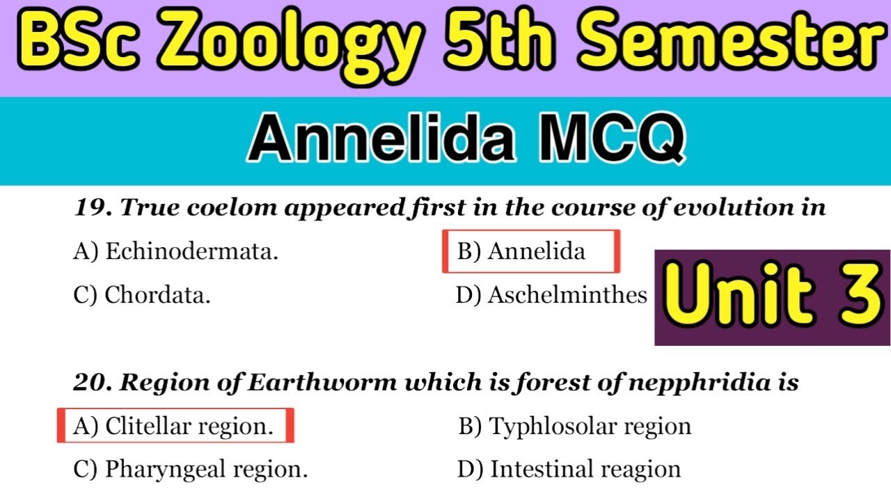 Annelida MCQ | Unit 3 | 5th Semester Zoology | BSc 3rd Year Important Questions