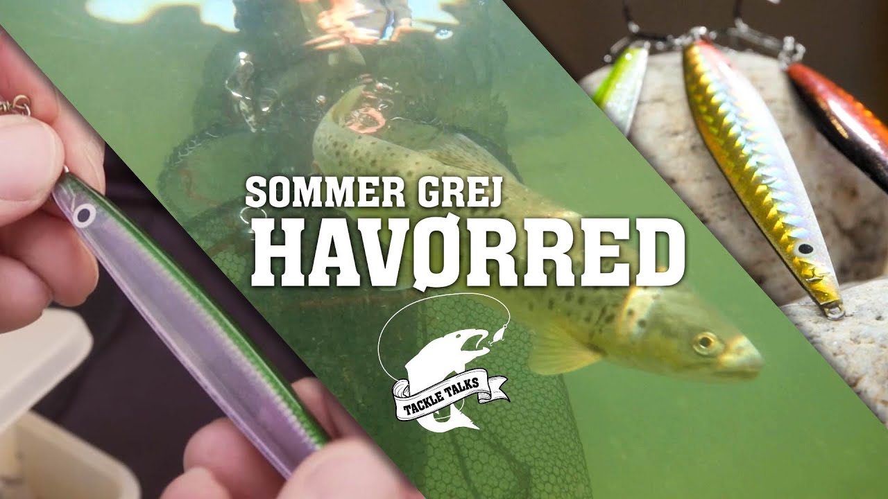 Sommergrej til havørred // Tackle Talks - Gone Fishing TV