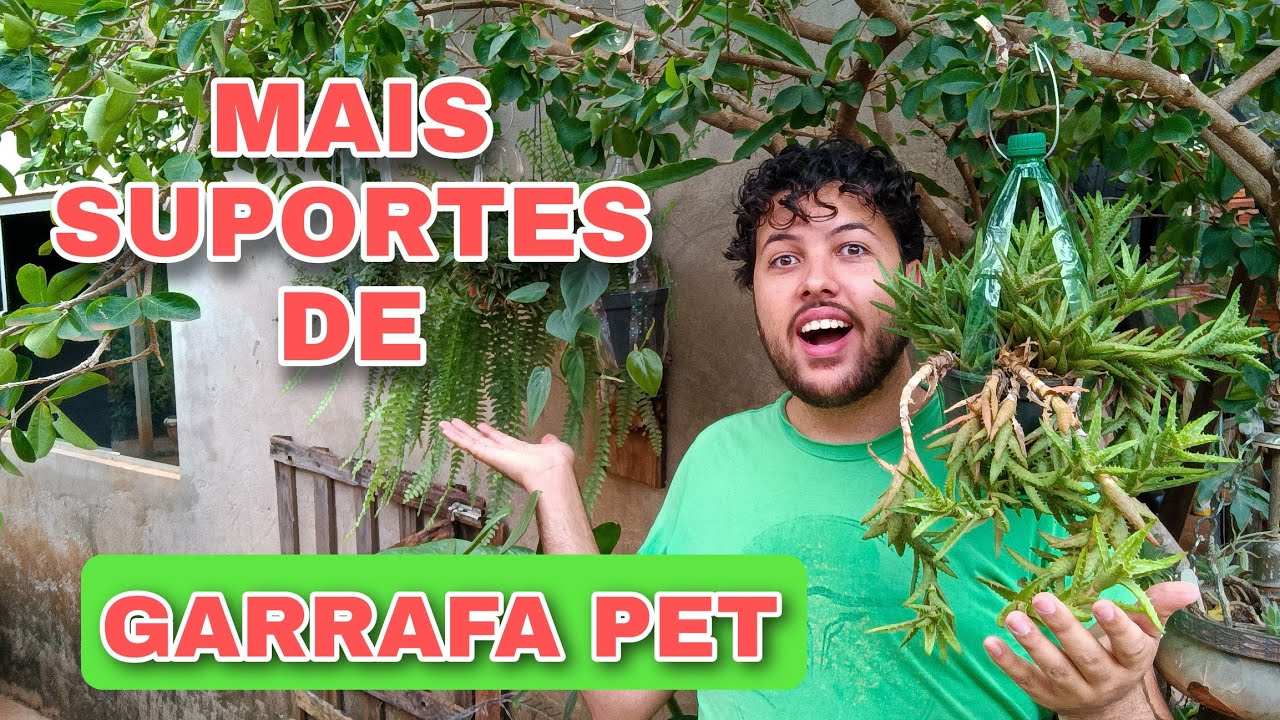 Faça um suporte de garrafa pet para suas plantas
