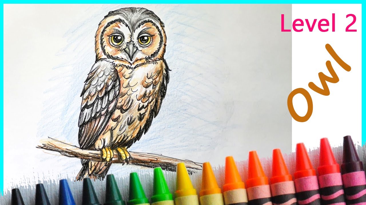 Easy way to Draw Beautiful Owl Step by Step for Level 2 Students
