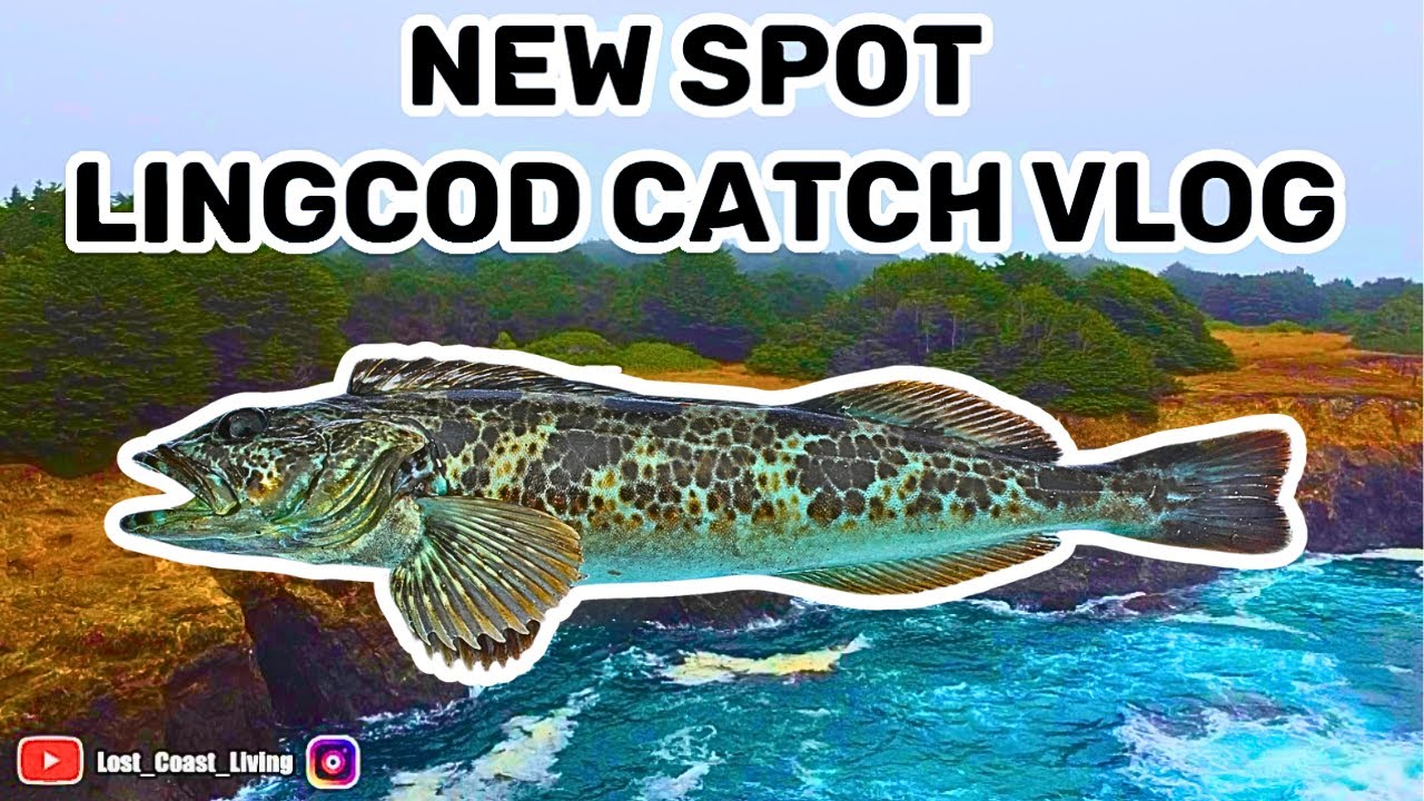 CALIFORNIA Fishing Vlog | norcal fishing vlog