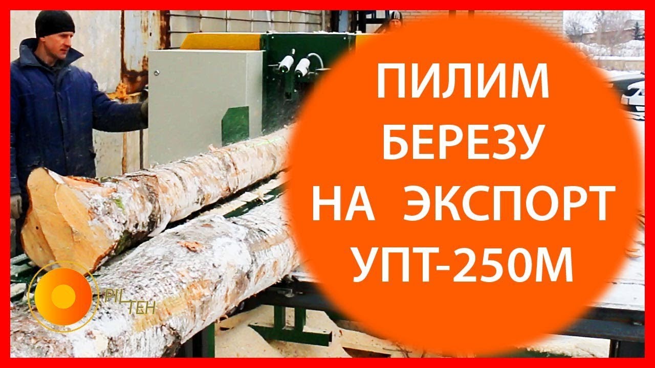 Распиловка березы на обрезную доску. ✧ Дисковая многопильная пилорама распиловки  березы на экспорт.